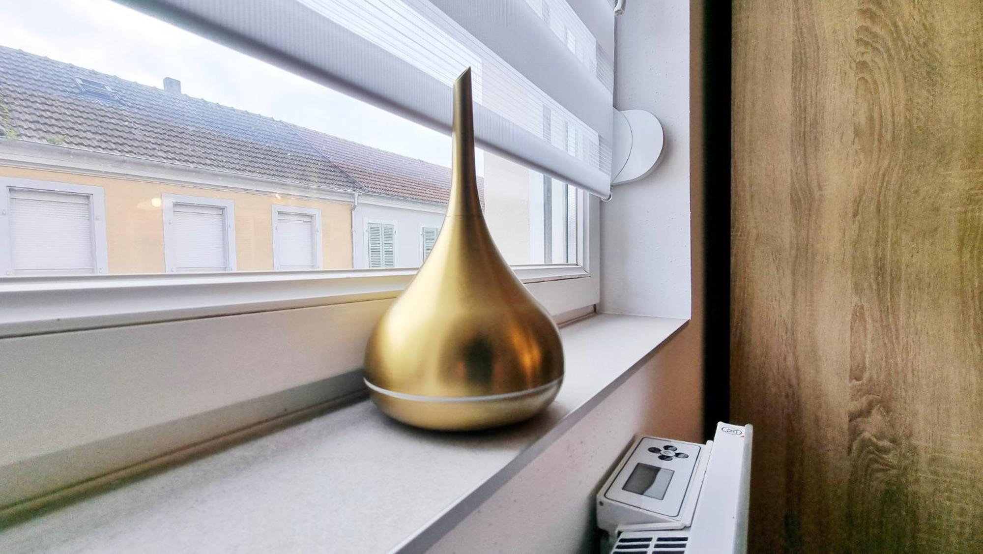 Les Suites Mulhousiennes - Charme & Serenite Mulhouse Buitenkant foto